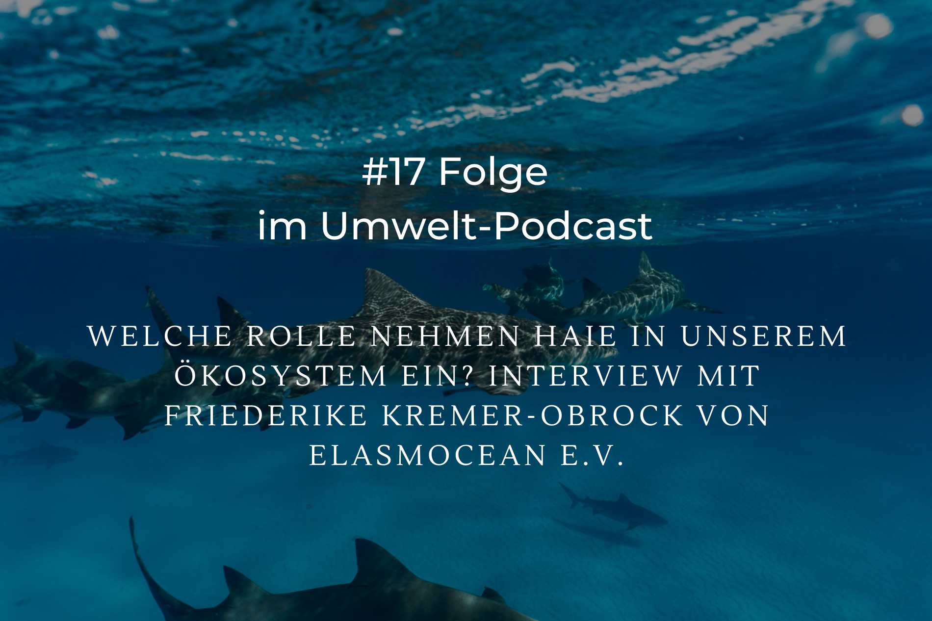 hai-ökosystem