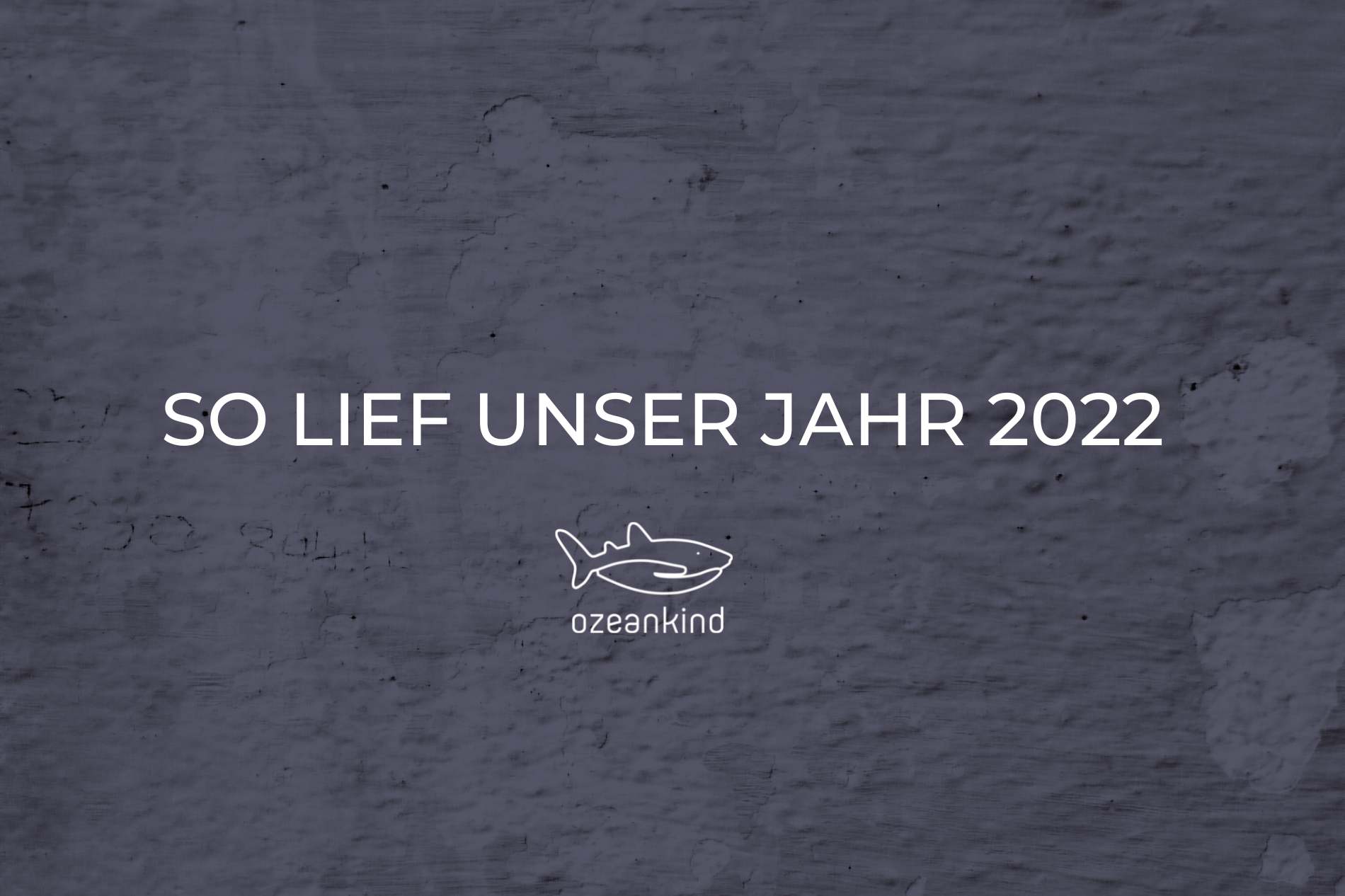 Ozeankind Projekterfolge